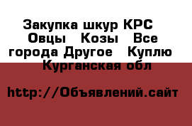 Закупка шкур КРС , Овцы , Козы - Все города Другое » Куплю   . Курганская обл.